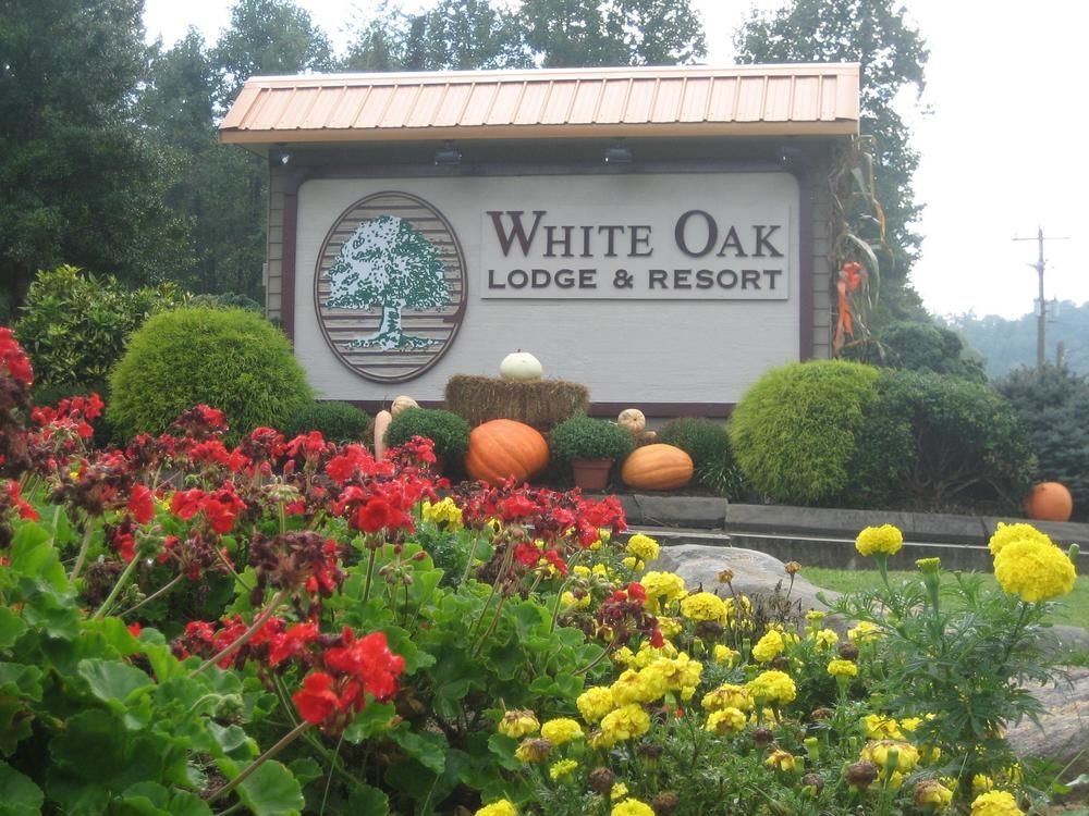 White Oak Lodge And Resort Pittman Center Exteriör bild